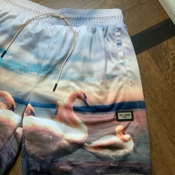 WELL KNOWN STUDIOS The Swan Family Shorts 7”  Men’s Size Large Street Wear NEW - Picture 11 of 13
